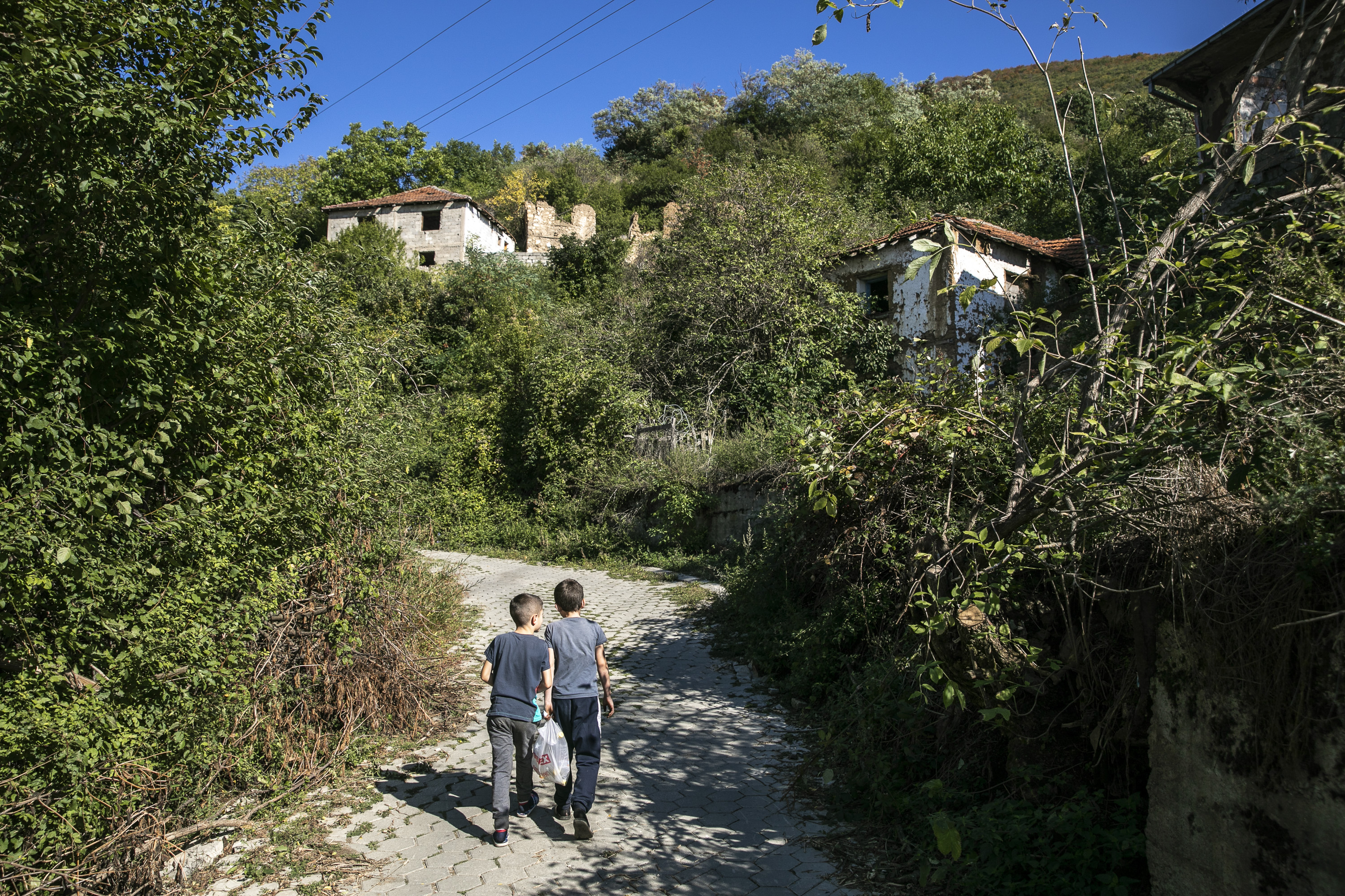 Ferdi Limani