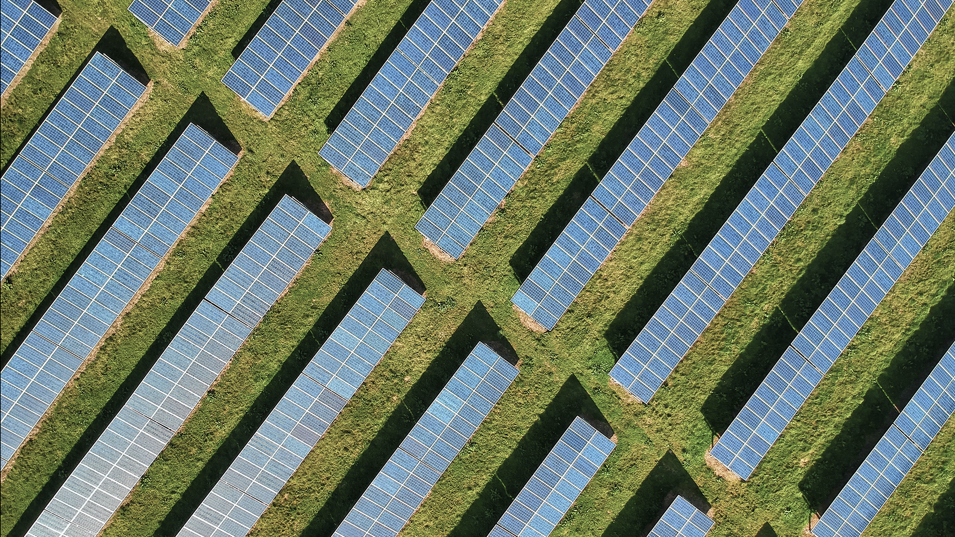 Solar blossoms