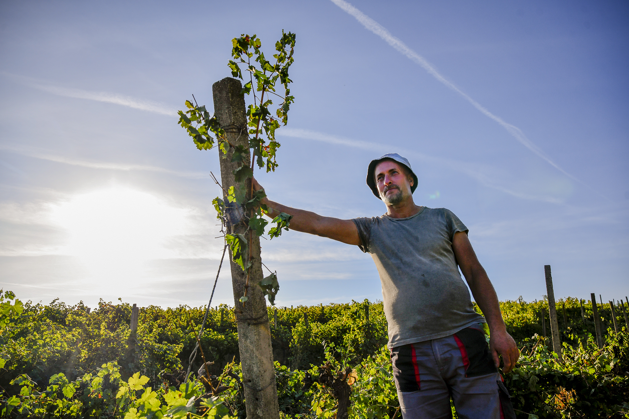 Farmers’ labor goes unvalued