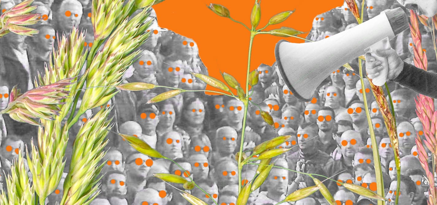 Cultivation