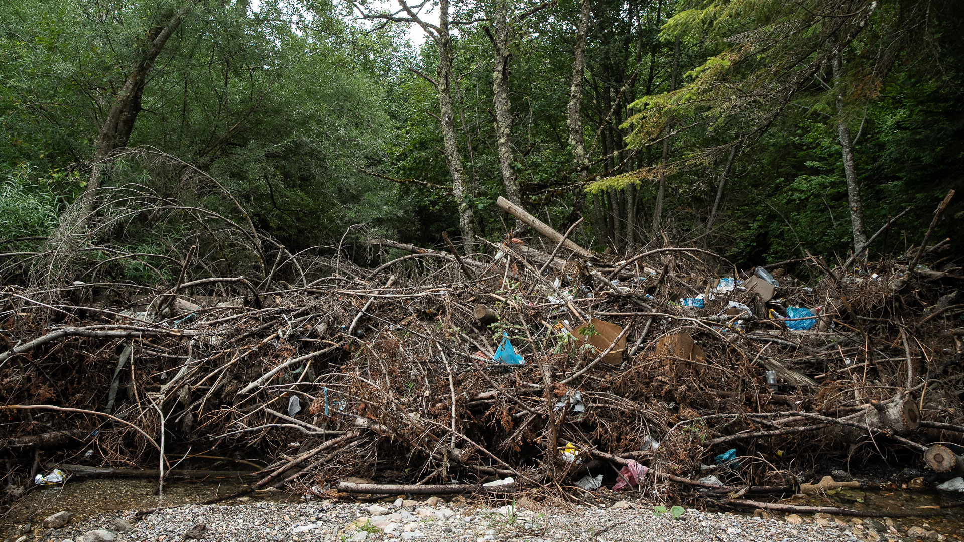 The nature we (don’t) love